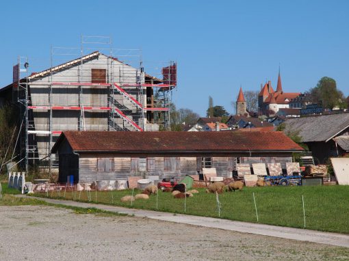 Montage d’un échafaudage sur un hangar à tabac à Avenches